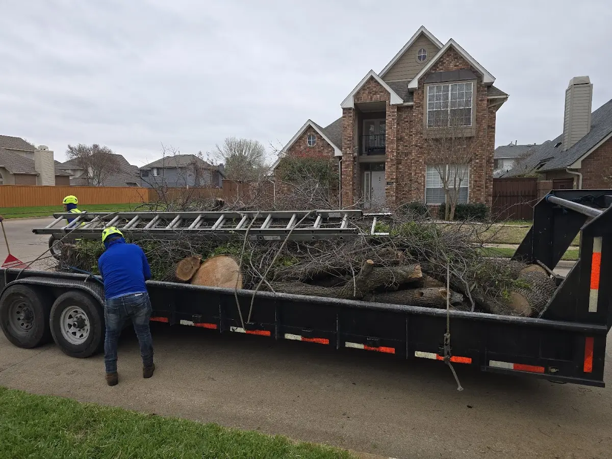 Expert Lot Clearing with proper safety equipment in Canaan